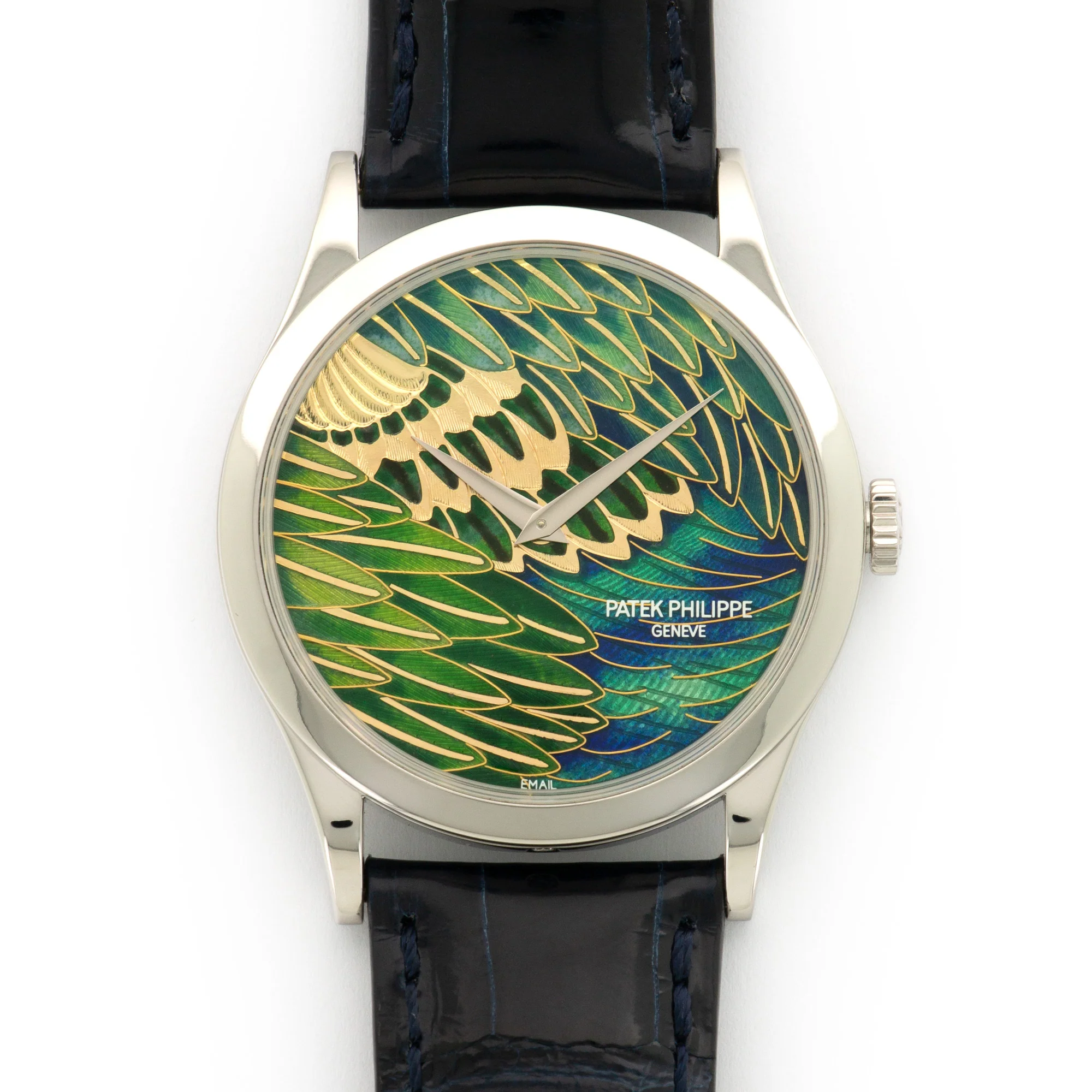Patek Philippe Platinum Cloisonne Dial Watch Ref. 5077