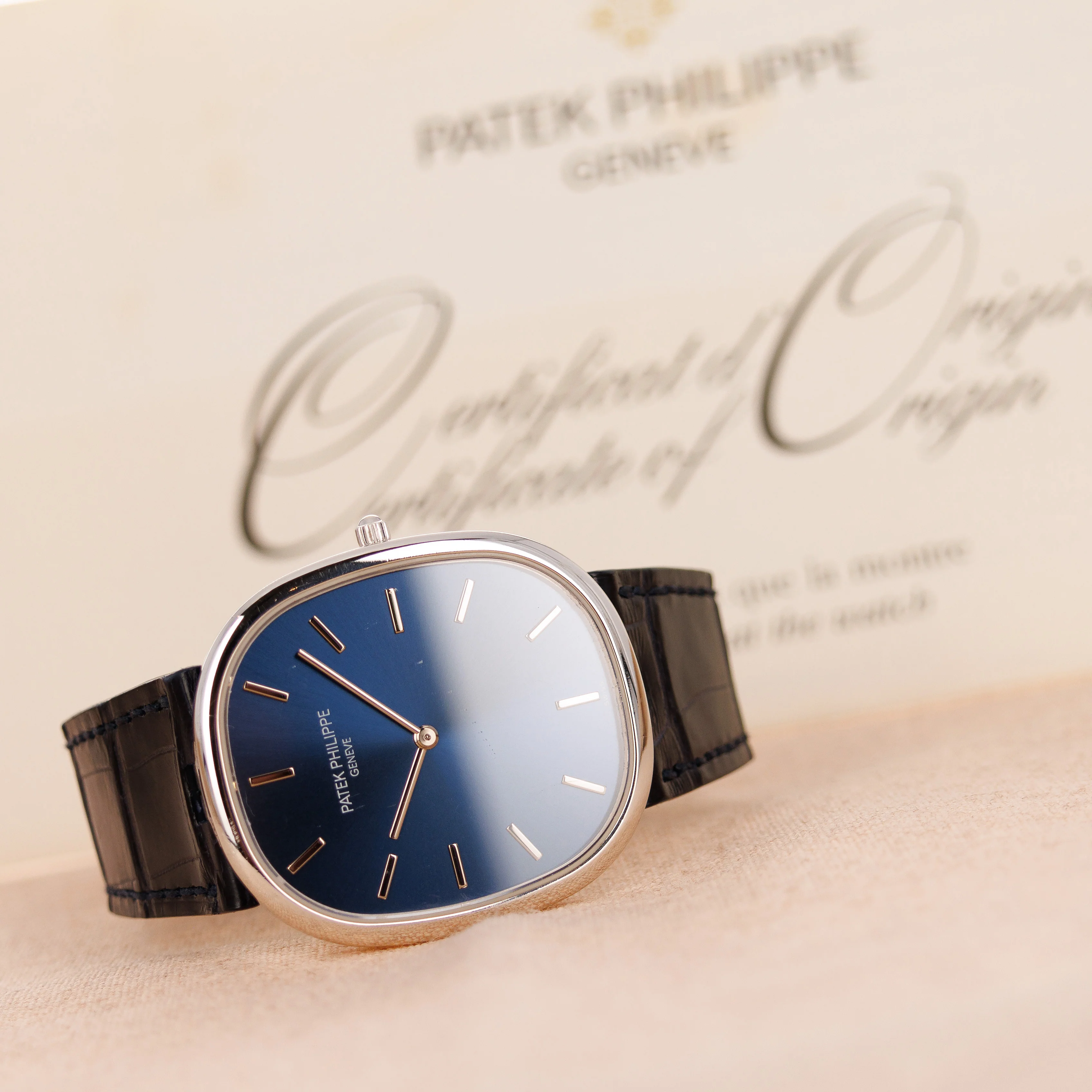 Patek Philippe Platinum Ellipse Ref. 5738P - Image 5