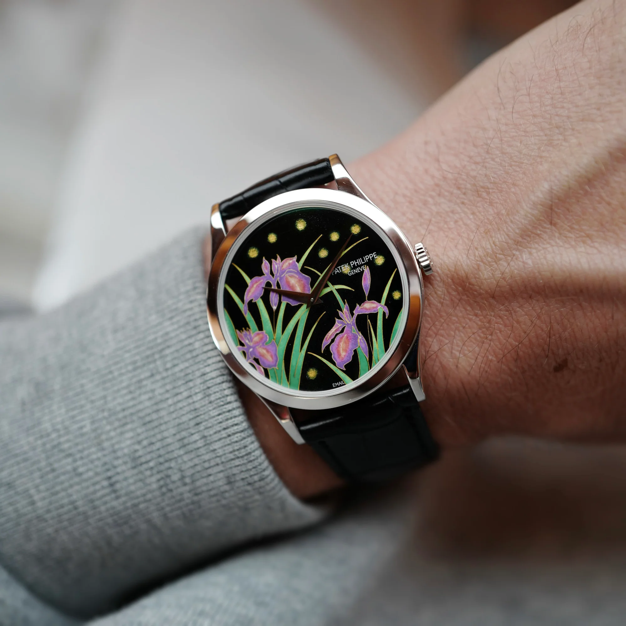Patek Philippe Platinum Handcraft Watch Ref. 5077 with Enamel Iris and Night Fireflies - Image 4