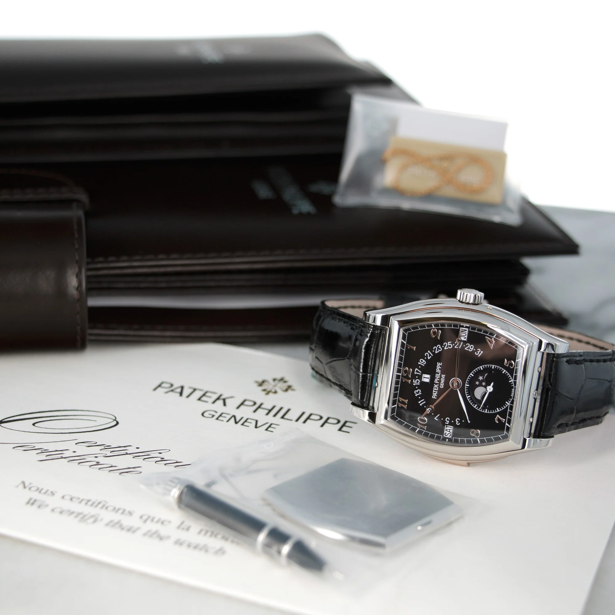 Patek Philippe Platinum Perpetual Calendar Minute Repeater Watch Ref. 5013 - Image 6