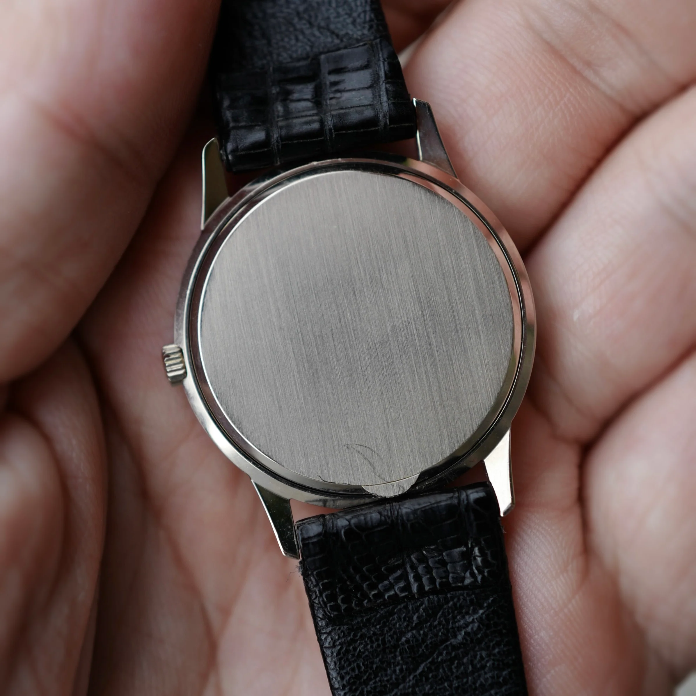 Patek Philippe White Gold Automatic Calatrava Ref. 3593 - Image 5